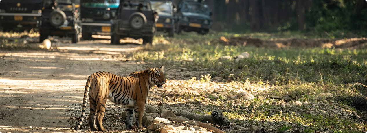 Best of Uttarakhand tour - Nainital, Jim Corbett, Rishikesh and Mussoorie